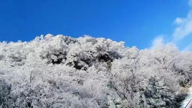 安徽天长:深入整治“两违规”问题正风气顺民意