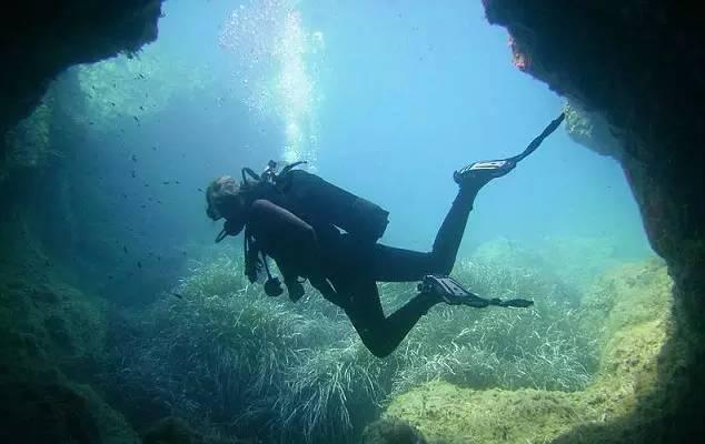 海外客户又有新需求！东风风神奕炫MAX旅行版渲染图